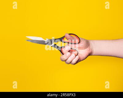 A hand holds a scissor. No face, yellow background. Stock Photo