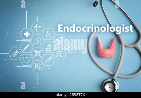 Word Endocrinologist and scheme with icons. Plastic model of afflicted thyroid and stethoscope on light blue background, flat lay Stock Photo