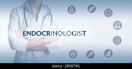 Endocrinologist, word and scheme with icons on light background, banner design. Doctor with stethoscope, closeup Stock Photo