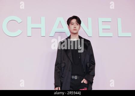 Wang Yibo attends the photocall of the Chanel Metiers d'Art 2022/23 Replica Show at Tokyo Big Sight on June 1, 2023 in Japan. Stock Photo