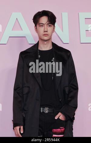 Wang Yibo attends the photocall of the Chanel Metiers d'Art 2022/23 Replica Show at Tokyo Big Sight on June 1, 2023 in Japan. Stock Photo