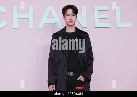 Wang Yibo attends the photocall of the Chanel Metiers d'Art 2022/23 Replica Show at Tokyo Big Sight on June 1, 2023 in Japan. Stock Photo