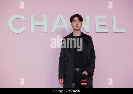 Wang Yibo attends the photocall of the Chanel Metiers d'Art 2022/23 Replica Show at Tokyo Big Sight on June 1, 2023 in Japan. Stock Photo