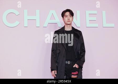 Wang Yibo attends the photocall of the Chanel Metiers d'Art 2022/23 Replica Show at Tokyo Big Sight on June 1, 2023 in Japan. Stock Photo