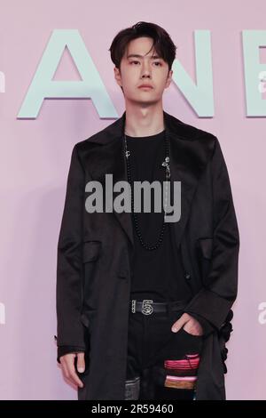 Wang Yibo attends the photocall of the Chanel Metiers d'Art 2022/23 Replica Show at Tokyo Big Sight on June 1, 2023 in Japan. Stock Photo