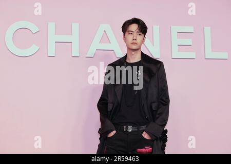 Wang Yibo attends the photocall of the Chanel Metiers d'Art 2022/23 Replica Show at Tokyo Big Sight on June 1, 2023 in Japan. Stock Photo