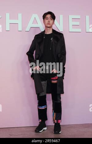 Wang Yibo attends the photocall of the Chanel Metiers d'Art 2022/23 Replica Show at Tokyo Big Sight on June 1, 2023 in Japan. Stock Photo