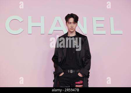 Wang Yibo attends the photocall of the Chanel Metiers d'Art 2022/23 Replica Show at Tokyo Big Sight on June 1, 2023 in Japan. Stock Photo