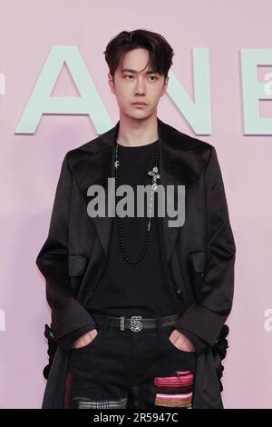 Wang Yibo attends the photocall of the Chanel Metiers d'Art 2022/23 Replica Show at Tokyo Big Sight on June 1, 2023 in Japan. Stock Photo