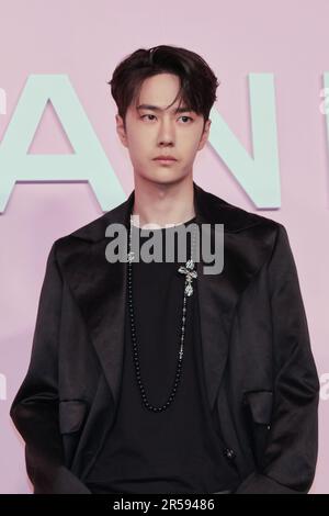 Wang Yibo attends the photocall of the Chanel Metiers d'Art 2022/23 Replica Show at Tokyo Big Sight on June 1, 2023 in Japan. Stock Photo