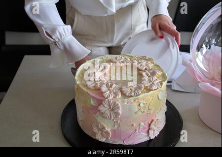 Midsection of woman cutting decorated birthday cake on white table Stock Photo