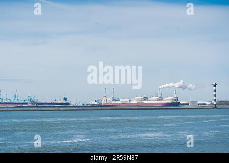 Maasvlakte Rotterdam - largest seaport in Europe with docking cruise ships. Perspective from the seaside. Cloudy sky. High quality photo Stock Photo