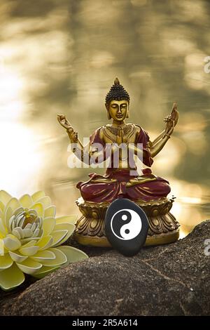 six-armed buddha by the water with Lotos flower in the morning, stone with Ying Yang sign Stock Photo