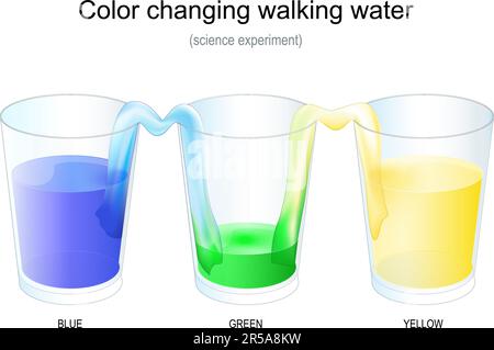 Color Changing Walking Water. Science Experiment with three glasses. Vector poster. magic and science for kids. Stock Vector