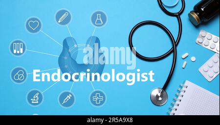 Word Endocrinologist and scheme with thyroid illustration and icons. Stethoscope, pills and notebook on light blue background, flat lay Stock Photo