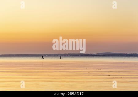 a couple paddle boarding in noyac bay in late day sun Stock Photo