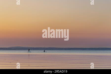 a couple paddle boarding in noyac bay in late day sun Stock Photo