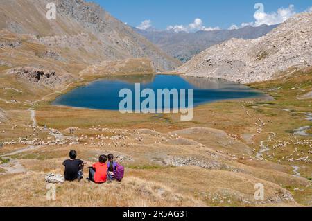 Foreant lake (2618 m) on the GR58 Tour du Queyras hiking trail, Queyras Natural Regional Park, Abries, Hautes-Alpes (05), France Stock Photo