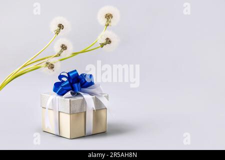 Silver gift box with blue bow and soft fluffy dandelions with white seeds. Father's Day and Birthday greeting card Stock Photo