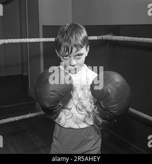 Young boxer in the 1950s. A boy wearing boxing gloves photographed in the boxing ring, looking at the camera. Focused and serious like a champion. Sweden 1954. Kristoffersson ref BO17-9 Stock Photo
