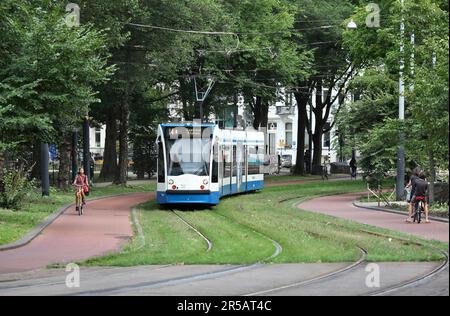 A tram snakes through Plantage Middenlaan, a green transport corridor (tram lines, bike lanes, and footpaths) in Wertheimpark, Amsterdam. Stock Photo