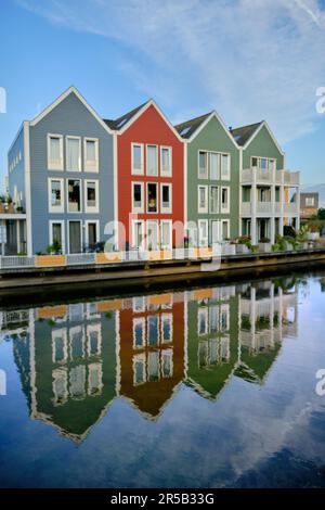 Row of colourful wooden newly built Dutch houses surrounded by water of lake De Rietplas in Houten in the Netherlands. Stock Photo