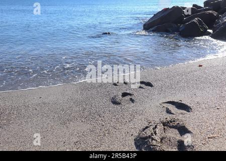 Human Prints or foot steps left on the Sand at a Beach Stock Photo