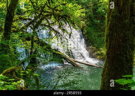 A landscape shot of Drake Falls at Silver Falls State Park in Oregon State Stock Photo