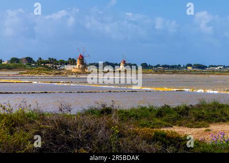 Saline di Trapani and Paceco Saline di Trapani e Paceco is an Italian nature reserve in the Province of Trapani between the municipalities of Trapani Stock Photo