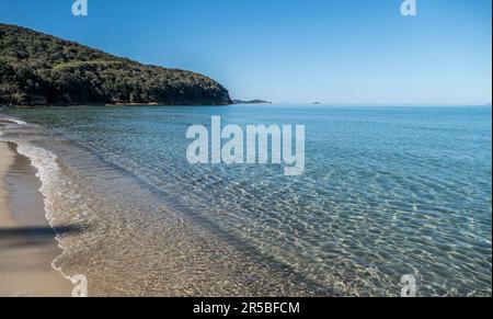 The beautiful beach with blue water of Cala Violina in Tuscany. Stock Photo