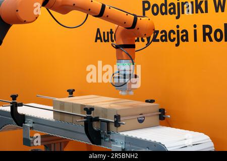 ITM Europe, robot arm in e-commerce packing automation. Stock Photo