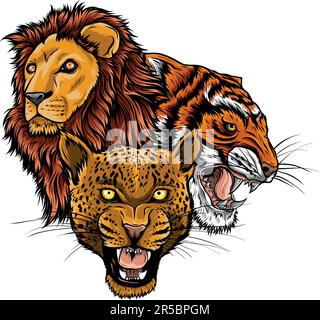 vector illustration of feline head on white background Stock Vector