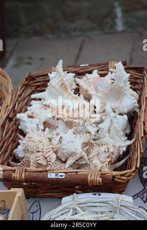 A basket with lots of shells in it sitting on the table Stock Photo