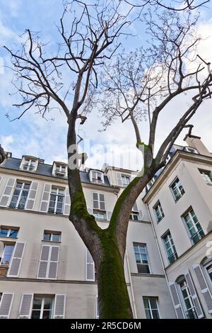 The place de Furstenberg, where Delacroix decided to live, is famous as one of the most charming squares in Paris Stock Photo