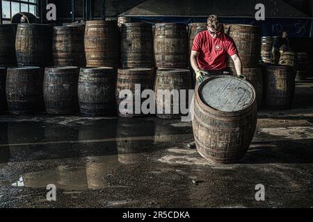 Coopers work on whisky casks at the Speyside Cooperage in Craigellachie, Scotland Stock Photo