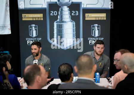 Alec Martinez and Jonathan Quick - Nhl Stanley - 9