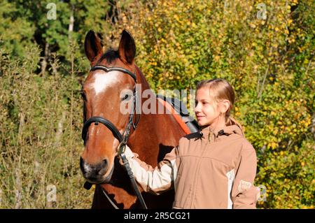 Girl and old horse, Trakehner, gelding, 32 years old, German warmblood, riding horse, bridle Stock Photo