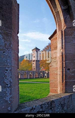 Hirsau Monastery, ruins, cloister, owl tower, Calw, Hirsau district, Baden-Wuerttemberg, Germany Stock Photo