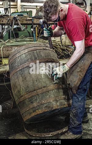 Coopers work on whisky casks at the Speyside Cooperage in Craigellachie, Scotland Stock Photo