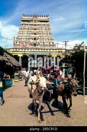 Eastern side Rajagopuram tower of Thillai Nataraja temple in Chidambaram, Tamil Nadu, South India, India, Asia Stock Photo