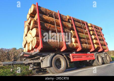 Wood transport truck trailer with piles of freshly cut lumber Stock Photo