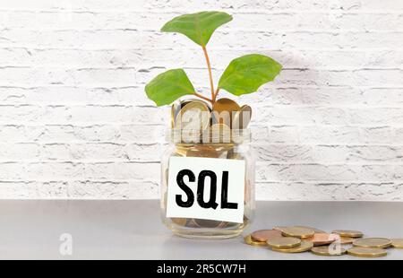 word SQL made with wood building blocks, white background. Stock Photo