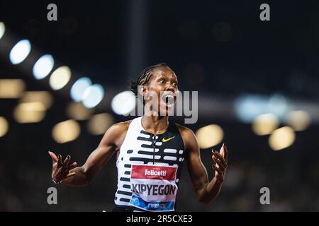 Florence, Italy. 02nd June, 2023. FLORENÇA, IT - 02.06.2023: GOLDEN GALA DA DIAMOND LEAGUE - Athletics - Golden Gala - Diamond League - Women's 1500m event, held at Luigi Ridolfi Stadium in Florence, Italy, this Friday (02). In the photo Faith Kipyegon wins the race and breaks the world record. (Photo: Luca Castro/Fotoarena) Credit: Foto Arena LTDA/Alamy Live News Stock Photo