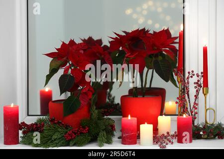 Potted poinsettias, burning candles and festive decor on windowsill in room. Christmas traditional flower Stock Photo