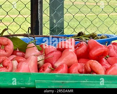 SriLankan fruits, Tropical, Visit Sri Lanka Stock Photo