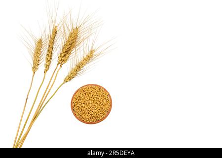 Wheat ears with whole wheat grains on white isolated background. Stock Photo