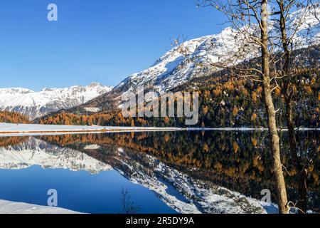 The Champfer Lake at the St. Moritz in autumn season with crystal clear reflection on a sunny day Stock Photo