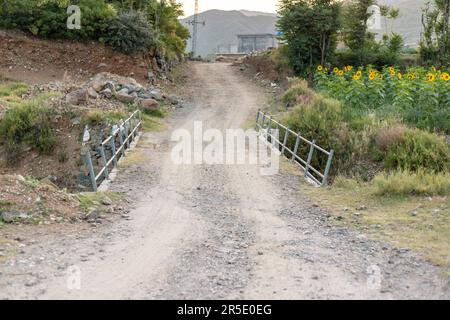 A rural dirt road along the blooming sunflowers field at a countryside of Pakistan Stock Photo