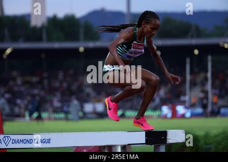 Firenze, Italy. 02nd June, 2023. Sembo ALMAYEW of Ethiopia during the Women's 3000 Steeplechase at the Golden Gala Pietro Mennea, part of the Diamond League series at Ridolfi Stadium on June 02, 2023 in Florence, Italy (Photo by Giuseppe Fama/Pacific Press) Credit: Pacific Press Media Production Corp./Alamy Live News Stock Photo