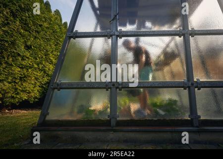 Selective focus on glass wall of greenhouse on back yard during spring day. Man working in vegetable garden. Stock Photo